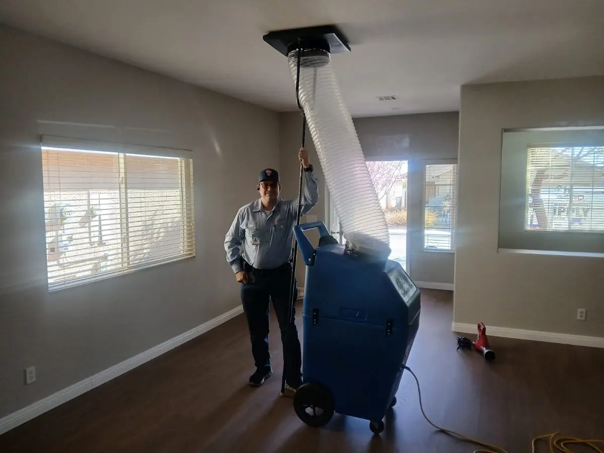 Professional Dryer Vent Cleaning work inside a Buffalo Grove home